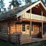 A cozy log cabin with a grassy roof surrounded by pine trees.