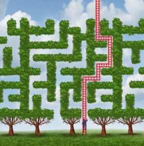 Cartoon man climbing ladder with maze