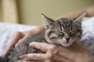 An elderly woman holding her pet cat.